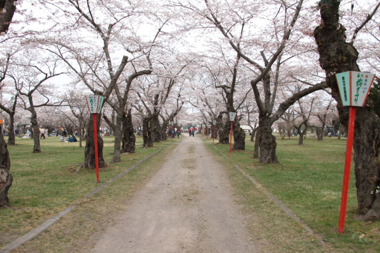 <Spring> Spring @ North & Hokkaido 10D7N