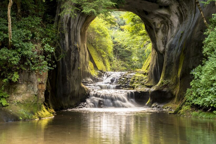 <Spring> Spring Charms of North Central Japan 8D6N