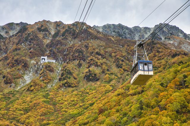 <Autumn> Autumn Elegance of the Hokuriku Region 10D7N (Fukui, Ishikawa, Toyama & Niigata)