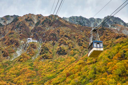 <Autumn> Autumn Elegance of the Hokuriku Region 10D7N (Fukui, Ishikawa, Toyama & Niigata)