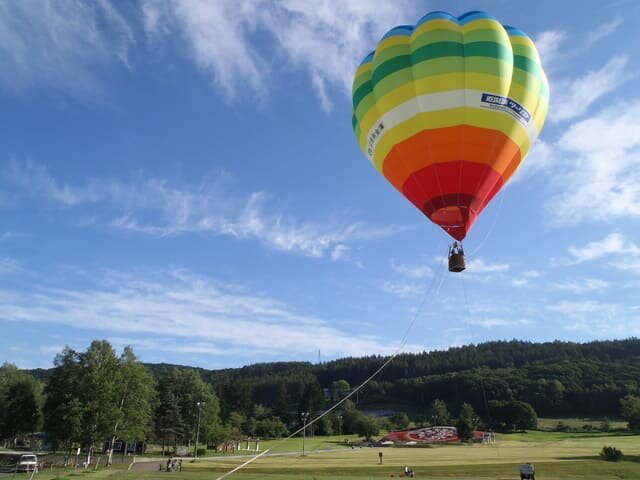 <Spring> Floral Story @ Hokkaido + 2N Tokyo 11D8N