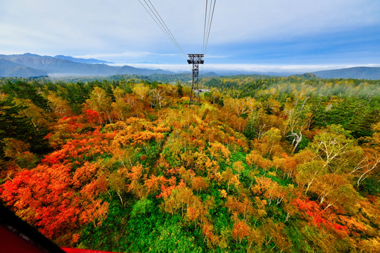 <Autumn> Fabulous East Hokkaido + 2N Tokyo 11D8N