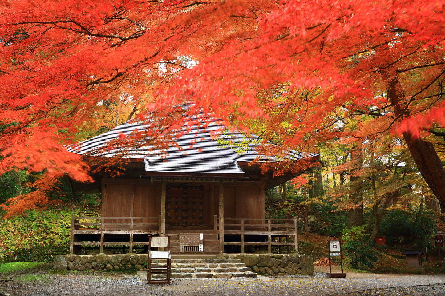 [SJ60 Exclusive Plan] <Autumn> Autumn Beauty in East South Hokkaido & Enchanting Tohoku 10D7N/11D8N