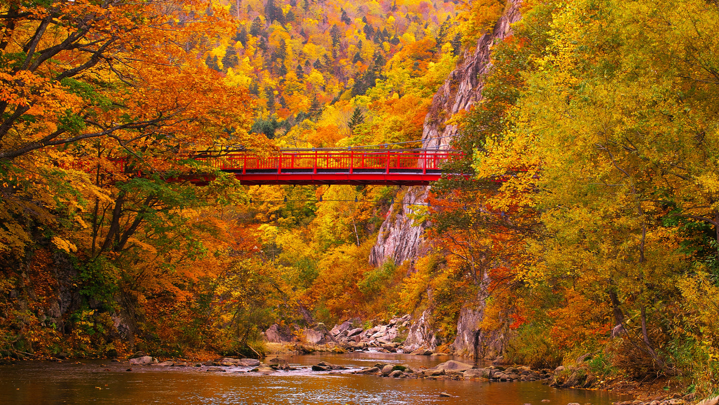 <Autumn> Hokkaido Autumn Melody + 2N Tokyo 11D8N