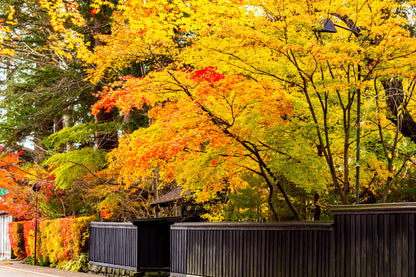 [SJ60 Exclusive Plan] <Autumn> Autumn Beauty in East South Hokkaido & Enchanting Tohoku 10D7N/11D8N