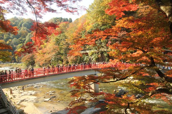 <Autumn> Autumn Fun Escape in Central Japan with LEGOLAND Japan 9D7N