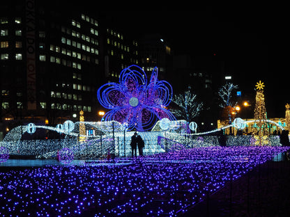 <Winter> Hokkaido Winter Wonderland 9D7N