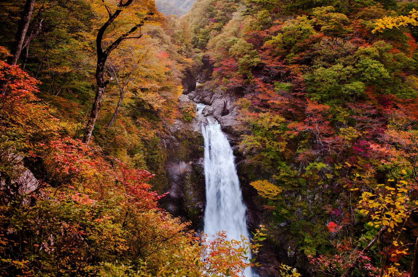 [SJ60 Exclusive Plan] <Autumn> Autumn Beauty in East South Hokkaido & Enchanting Tohoku 10D7N/11D8N