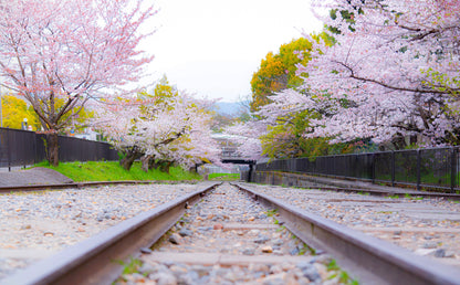 <Spring> Spring Elegance Classic Japan 9D6N