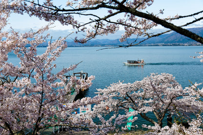 <Spring> Spring Elegance Classic Japan 9D6N