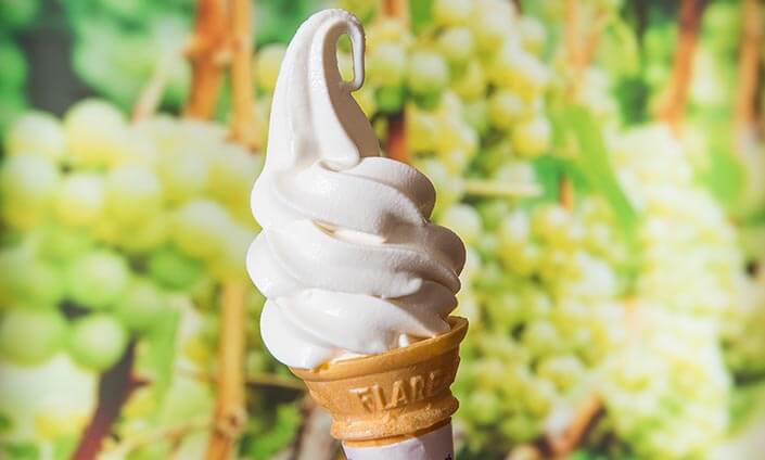 <Summer> Family Fun in Hokkaido 10D7N