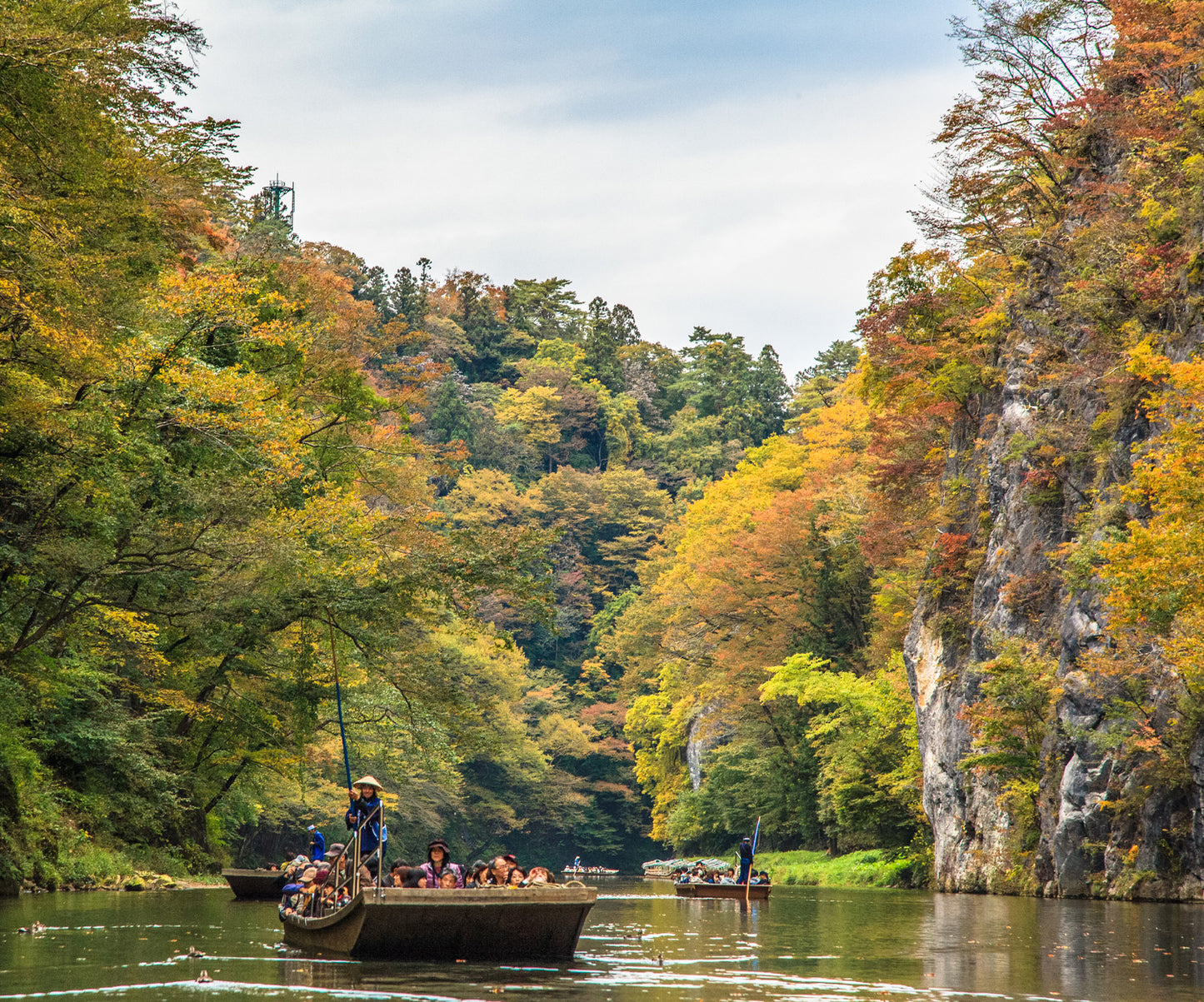 <Autumn> Autumn Discovery in North Japan 9D6N