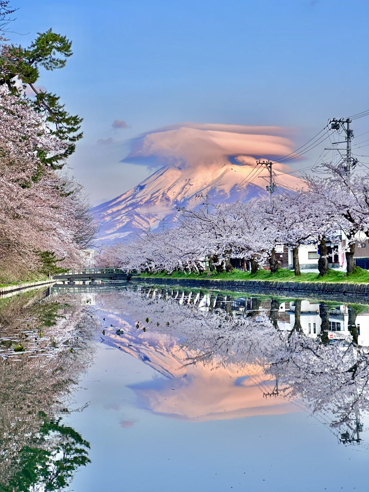 <Spring> Spring Beauty in North Japan & East South Hokkaido 10D7N