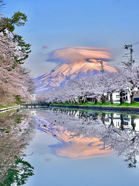 <Spring> Spring Beauty in North Japan & East South Hokkaido 10D7N