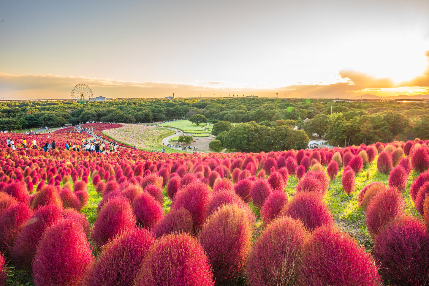<Autumn> Autumn Colors in North Central Japan 10D7N