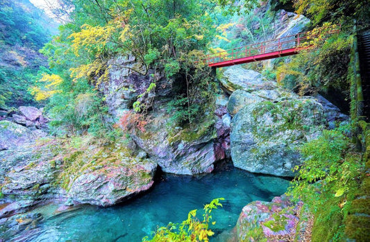 <Autumn> Autumn Highlights in West Shikoku & Northern Kyushu 10D7N
