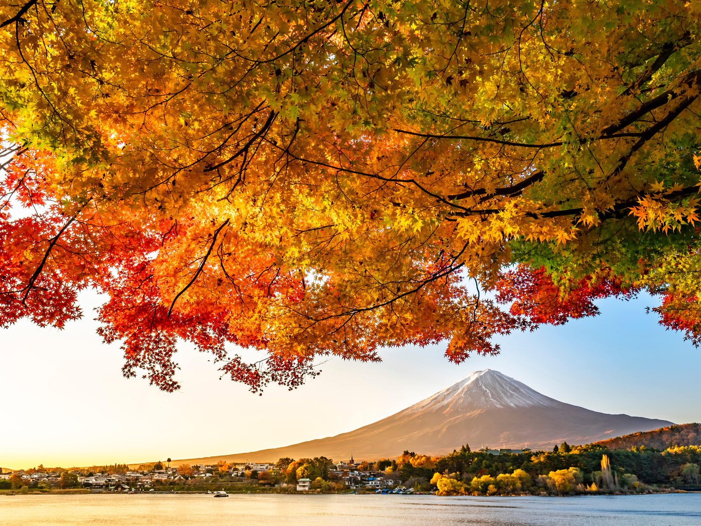Fabulous Autumn in Classic Japan 9D6N