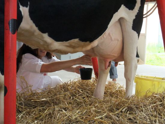 [SJ60 Exclusive Plan] <Summer> Lavender Dreams & Natural Beauty in Hokkaido 10D7N/11D8N