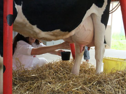 [SJ60 Exclusive Plan] <Summer> Lavender Dreams & Natural Beauty in Hokkaido 10D7N/11D8N