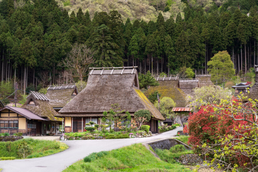 <Autumn> Hidden Gems of West Japan with Kyoto by the Sea