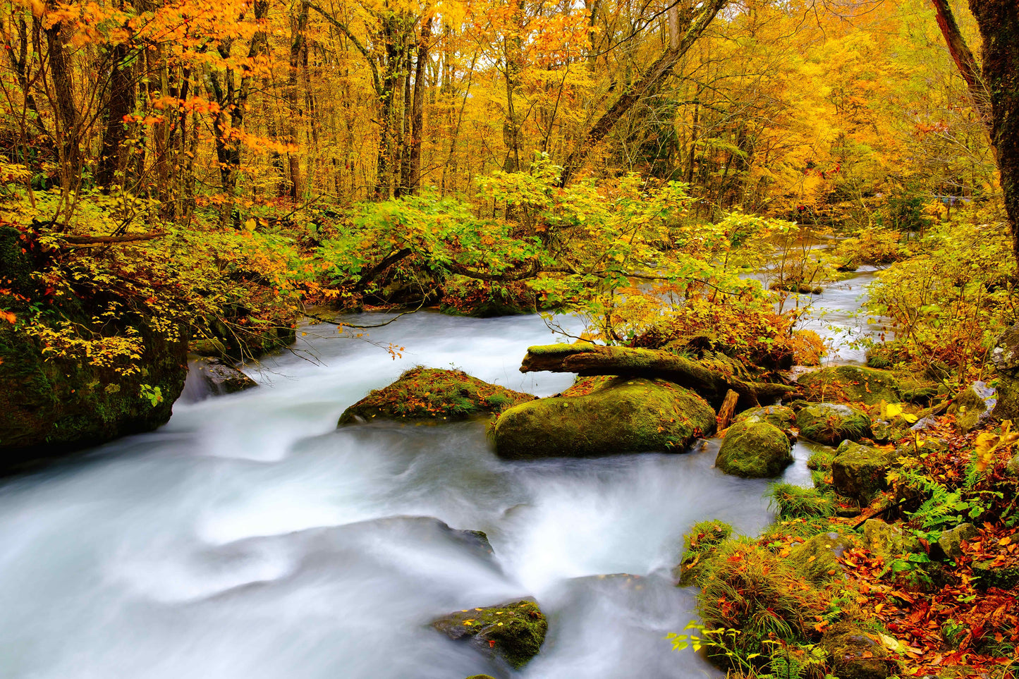 [SJ60 Exclusive Plan] <Autumn> Autumn Beauty in East South Hokkaido & Enchanting Tohoku 10D7N/11D8N