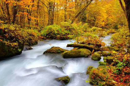 [SJ60 Exclusive Plan] <Autumn> Autumn Beauty in East South Hokkaido & Enchanting Tohoku 10D7N/11D8N