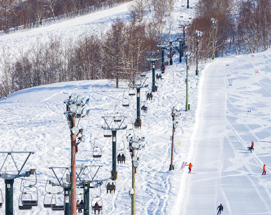 Niseko (Green Leaf Niseko)