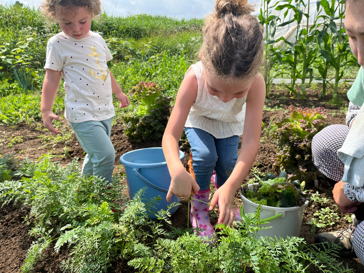 <Summer> Summer Festival in East South Hokkaido & North Japan 10D7N