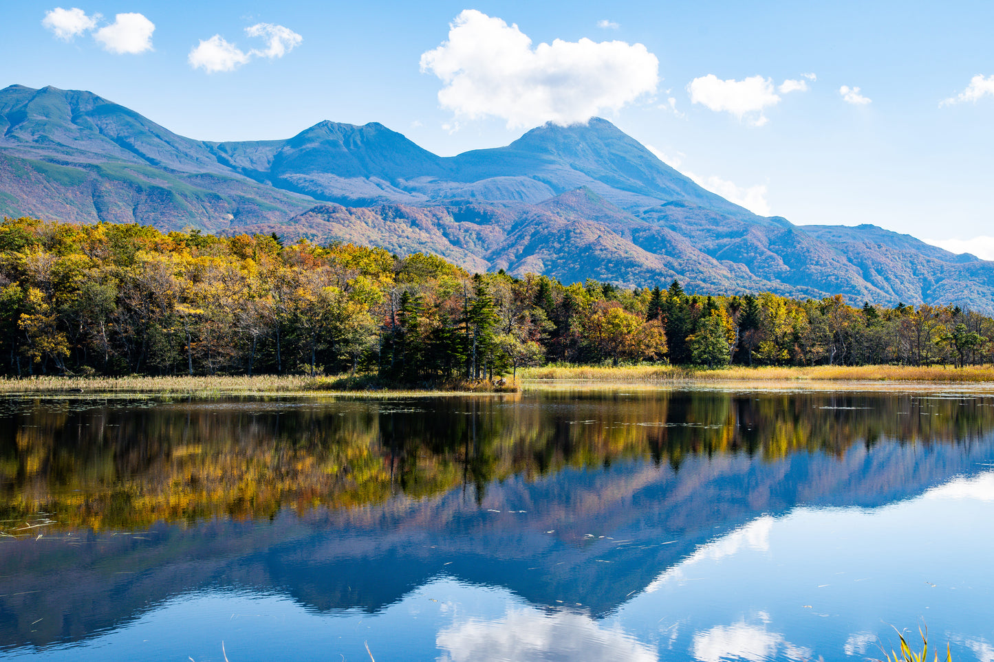 <Autumn> Fabulous East Hokkaido + 2N Tokyo 11D8N