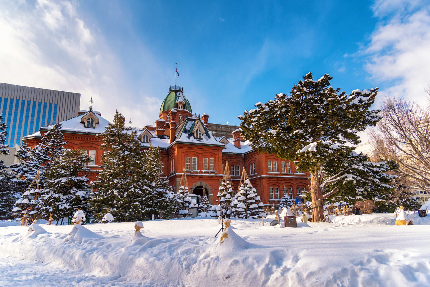 <Winter> Hokkaido Winter Festival & Icebreaker + 2N Tokyo 11D8N