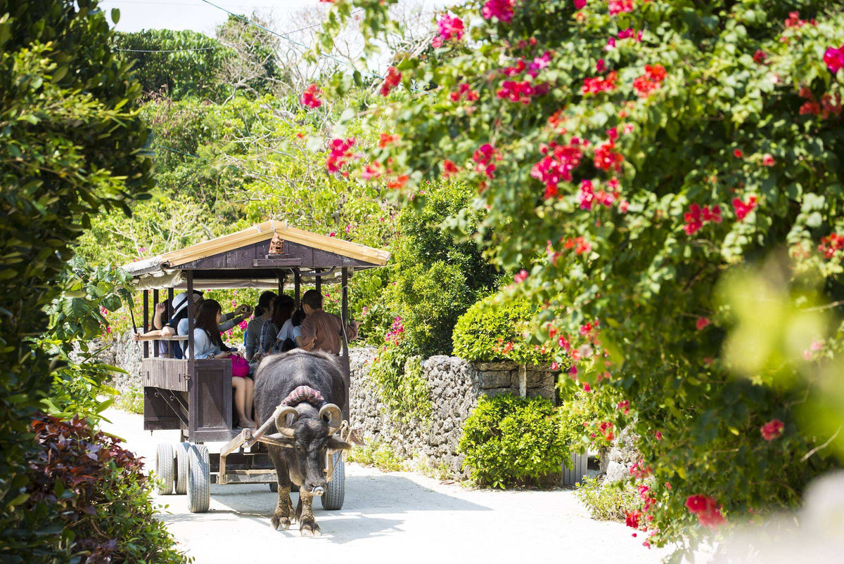 <Summer> Tropical Charms of Okinawa & Ishigaki Island 6D5N (LAND ONLY)
