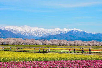 <Spring> Spring Quartet & Hidden Treasures of Hokuriku, Niigata & Yamagata 10D7N