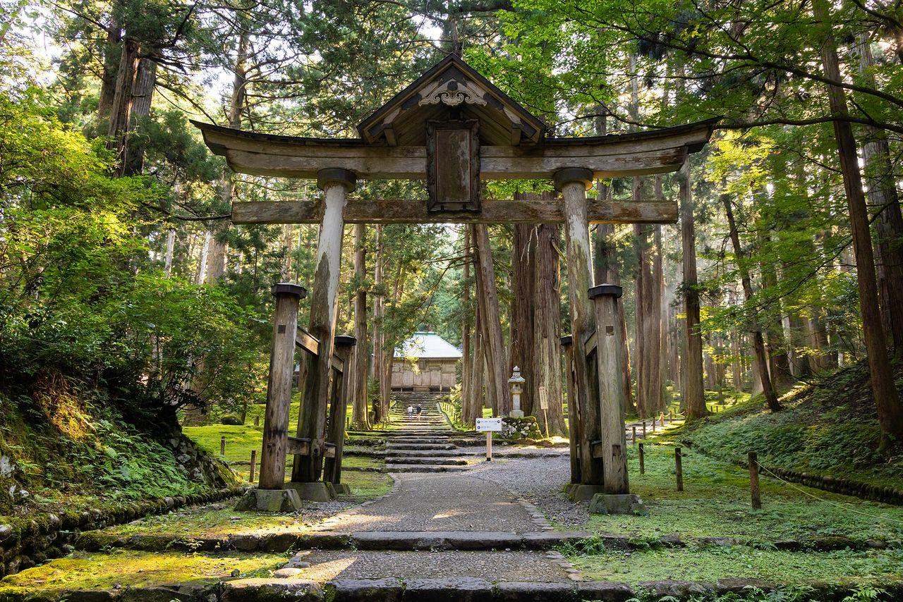 <Spring> Spring Quartet & Hidden Treasures of Hokuriku, Niigata & Yamagata 10D7N