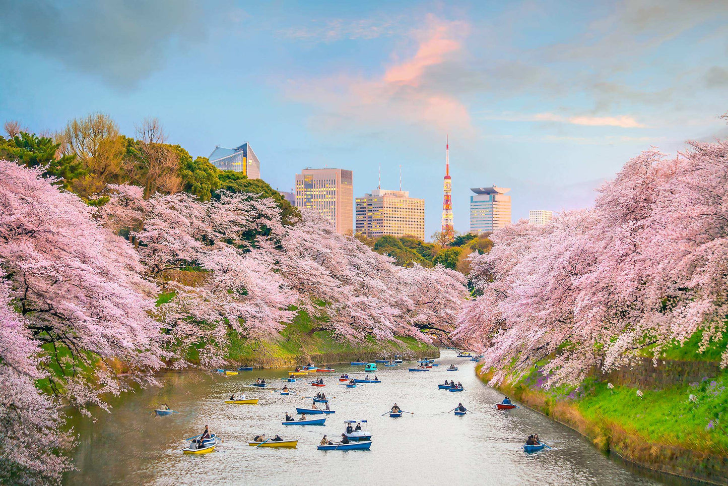<Spring> Spring Elegance Classic Japan 9D7N/10D7N