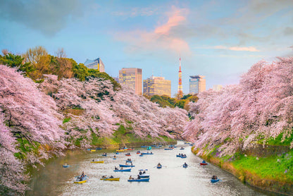 <Spring> Spring Elegance Classic Japan 9D7N/10D7N