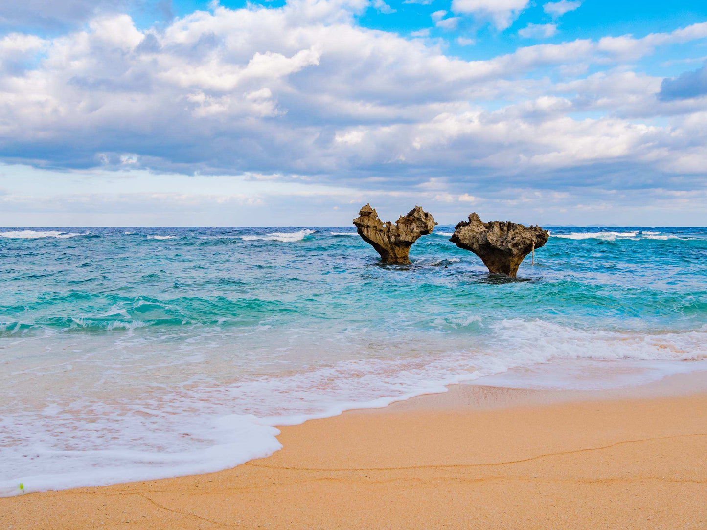 <Winter> Family Fun in Okinawa 5D4N (LAND ONLY)
