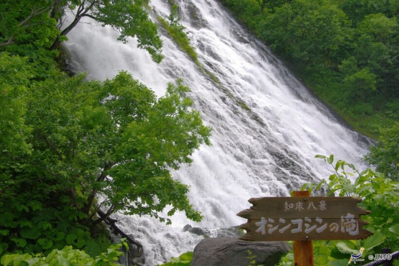 <Summer> Hidden Wonders of Eastern Hokkaido + 2N Tokyo 11D8N