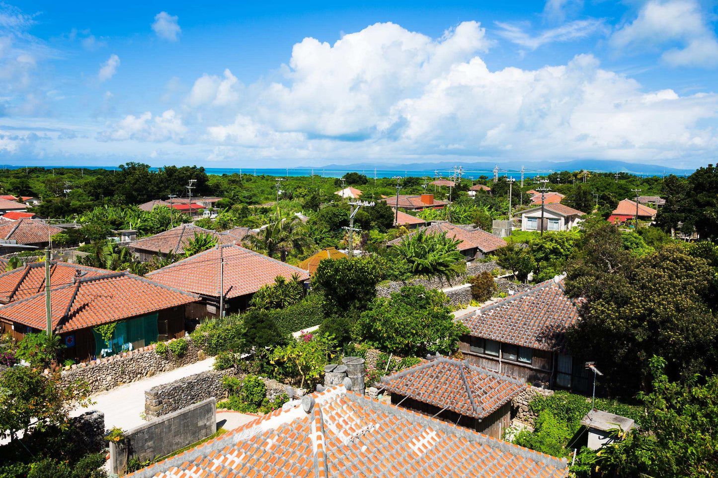 <Winter> Family Fun in Okinawa 5D4N (LAND ONLY)