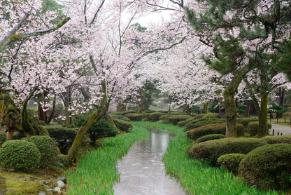 <Spring> Spring Quartet & Hidden Treasures of Hokuriku, Niigata & Yamagata 10D7N