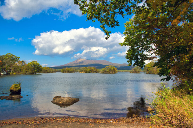 <Spring> Spring Beauty in North Japan & East South Hokkaido 11D8N