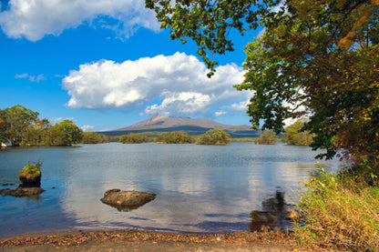<Spring> Spring Beauty in North Japan & East South Hokkaido 11D8N