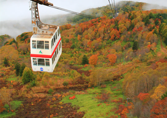 <Autumn> Autumn Colors in North Central Japan 10D7N