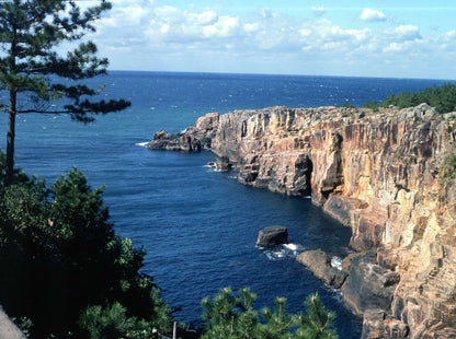 <Spring> Spring Blossoms in Nagoya, Wakayama, Mie & Osaka 10D7N