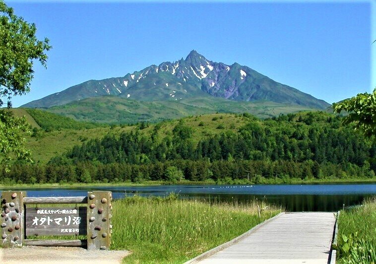<Summer> Sublime Summer in Northern Hokkaido + 2N Tokyo 11D8N