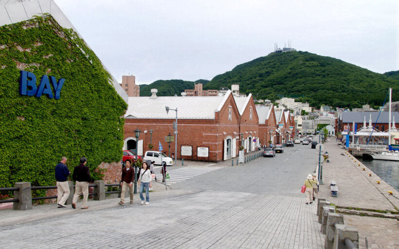 <Summer> Summer Festival in East South Hokkaido & North Japan 10D7N