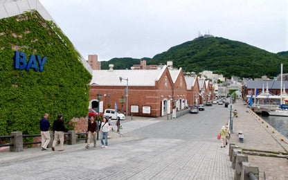 <Summer> Summer Festival in East South Hokkaido & North Japan 10D7N