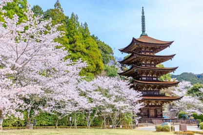 <Spring> Charms of Chugoku & San'in Japan 10D7N