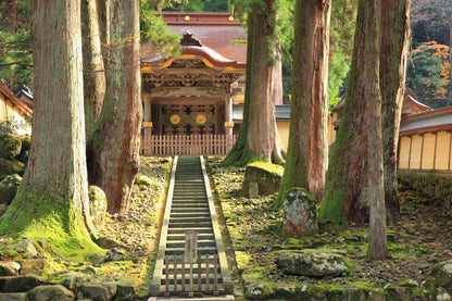<Spring> Spring Quartet & Hidden Treasures of Hokuriku, Niigata & Yamagata 10D7N