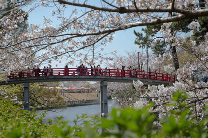 <Spring> Spring Discovery in Central Japan 9D6N