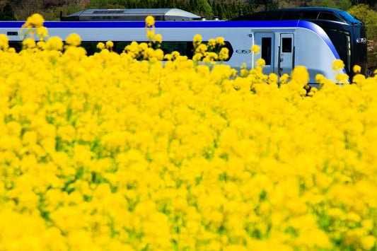 JR East-West - Hokuriku Arch Pass(Osaka-Tokyo)